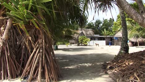 Small-household-on-Fanning-Island,-Republic-of-Kiribati