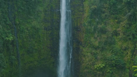 Tilt-up-from-bushes-to-a-big-waterfall,-Akaka-Falls,-Hawaii,