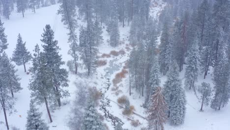 Aerial-4K-footage-of-Sequoia-National-Park-covered-in-snow-13