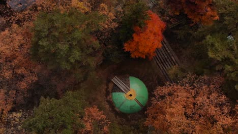 Abstract-aerial-drone-looking-down-inside-autumn-color-forest-with-man-standing-on-platform