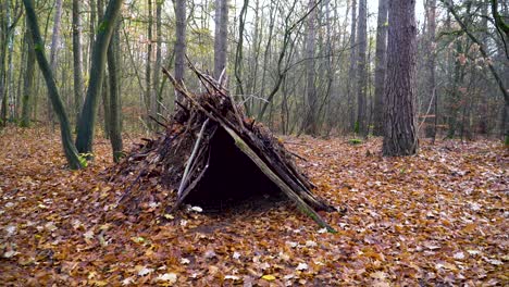 Self-Constructed-Shelter-in-the-Woods-to-Stay-Safe-on-Cold-Autumn-Day
