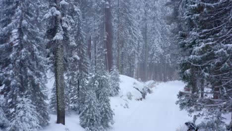 4k-Luftaufnahmen-Des-Sequoia-Nationalparks,-Der-Mit-Schnee-Bedeckt-Ist-11