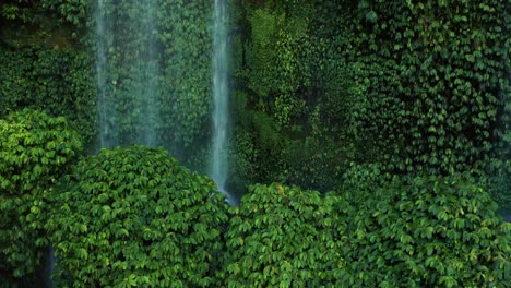 Frisches-Wasser,-Das-Die-Waldwand-Am-Benang-Kelambu-Wasserfall-In-Lombok-Hinunterfließt