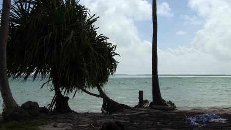 Fishermen-net-in-the-waters-of-Fanning-Island,-Republic-of-Kiribati