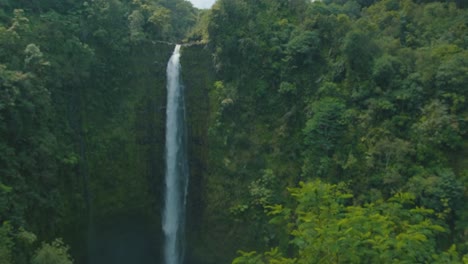 Wide-tilt-up-from-bushes-to-a-big-waterfall,-Akaka-Falls,-Hawaii,