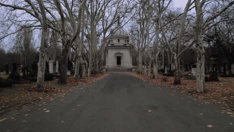 Monumental-tomb-in-graveyard-cemetery-path,-tall-leafless-autumn-trees-on-sides,-backwards
