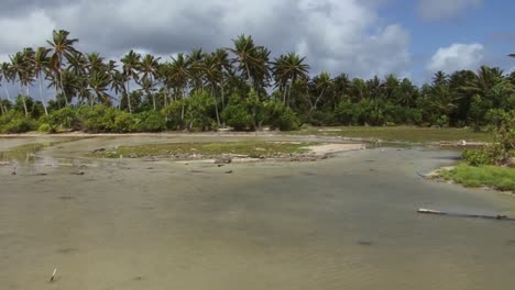 Tabuaeran,-Fanning-Island-Atoll,-Palmen