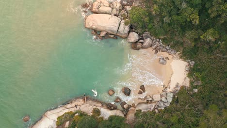 Aerial-top-down-view-of-tropical-beach-rainforest-with-turquoise-color-water-located-in-Praia-Do-Cação,-Bombinhas,-Santa-Catarina,-Brazil