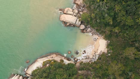 Aerial-top-down-view-panning-shot-of-tropical-brazilian-rainforest-beach-with-turquoise-color-water-located-in-Bombinhas,-Santa-Catarina,-Brazil