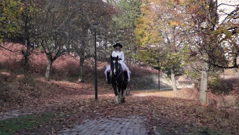 Woman-riding-a-horse-in-a-park