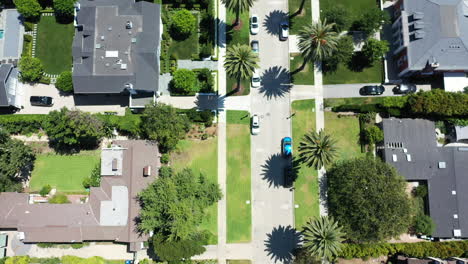 Drone-flies-over-street-lined-with-palm-trees-and-McMansions-with-pools,-in-classic-West-Hollywood,-Los-Angeles,-Callifornia-neighborhood