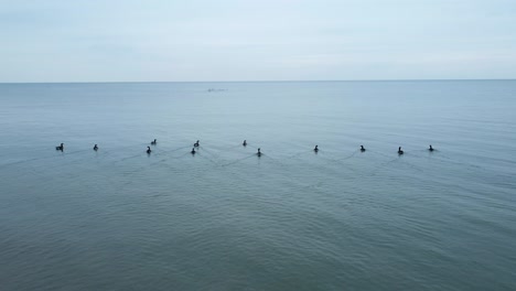 Geese-swimming-away-on-lake-4K-Drone