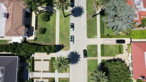 Drone-flying-over-palm-tree-lined-streets-with-cars-driving,-and-mansions-in-beautiful,-sun-kissed,-West-Hollywood,-California