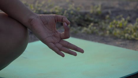 Hand-Stellt-Yoga-Mudra-Hand-Nahaufnahme-Im-Sonnenlicht-Filmisches-Mumbai-Maharashtra-Dehradun-Indien