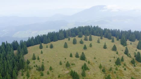 Drone-shot-of-forested-mountain-slope-in-the-mist-at-Sostanj,-Slovenia