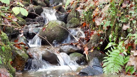 Üppiges-Laub-Felsen-Fließender-Fluss-Wasserfall-Waldvegetation-Ruhige-Szene