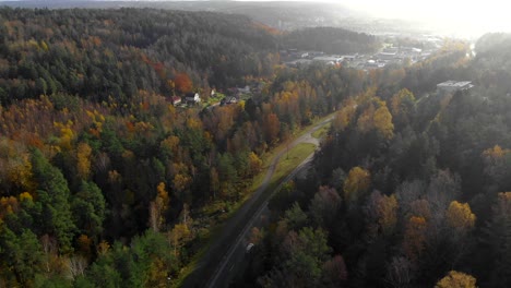 Aerial-view-over-a-forest-road-in-autumn-colors-on-a-beautiful-sunny-day-with-cars-passing-by