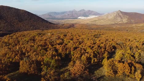Drone-shot-of-a-valley-with-trees-in-autumn-surrounded-by-mountains
