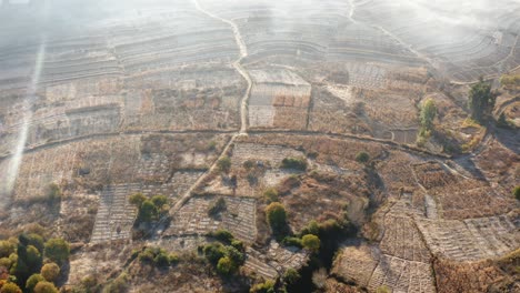 Chinese-forest-deforestation-for-agricultural-land,-human-impact,-aerial-view
