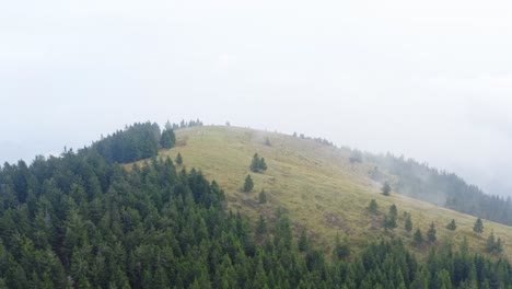 Forest-on-too-of-volcanic-mountain-in-foggy-day