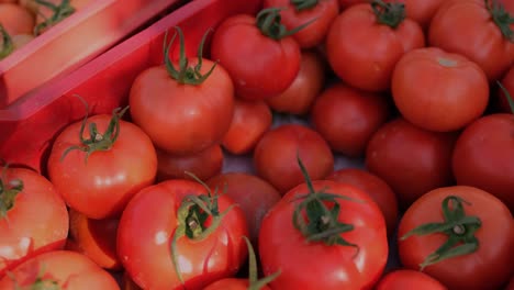 Nahaufnahme-Eines-Hoffrischen-Behälters-Mit-Roten-Tomaten,-Während-Eine-Hand-Hineingreift,-Um-Welche-Zu-Nehmen