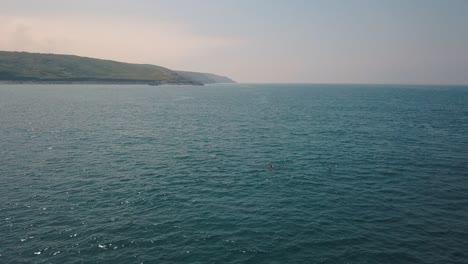 Antenne:-Schote-Von-Delfinen,-Die-In-Cornwall,-Großbritannien,-Durchbrechen-Und-Schwimmen