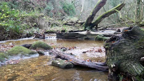 Alte-Ländliche-Kupfermine-River-Creek,-Die-Durch-Waldwaldvegetation-Fließt