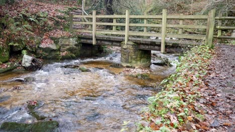 Schnell-Fließender-Herbstlandschaftsfluss-Und-Ländliche-Holzbrückenwildnis