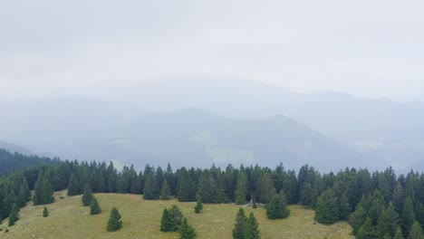 Drone-shot-of-forested-mountain-slope-in-low-lying-cloud,-quiet-and-misty-feeling