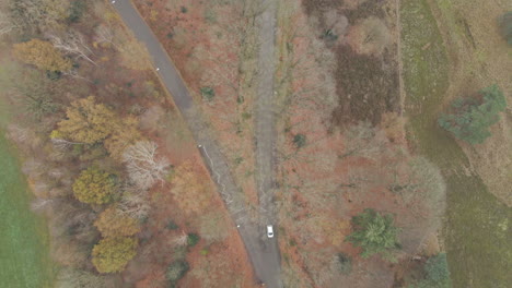 Aerial-of-white-car-driving-over-small-road-surrounded-by-trees-in-autumn