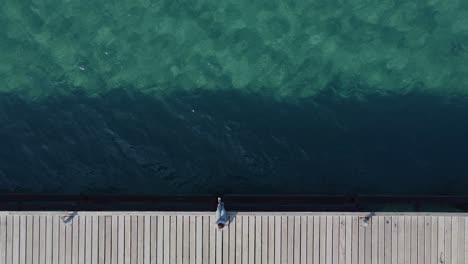 Bird's-eye-view-of-a-young-girl-relaxing-on-the-edge-of-a-wooden-pier-on-tropical-waters