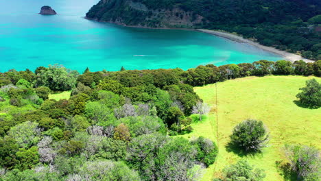 La-Desembocadura-Del-Río-Puhoi-Y-El-Bosque-Costero-En-El-Parque-Regional-Wenderholm-En-Auckland,-Nueva-Zelanda