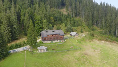 Una-Amplia-Vista-Aérea-De-Casas-De-Campo-En-El-Bosque-De-Las-Montañas-En-Sostanj,-Eslovenia