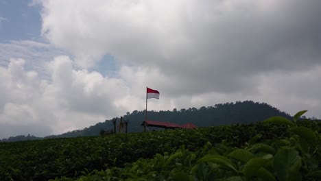 Bandera-Indonesia-Roja-Y-Blanca-Ondeando-En-La-Colina-En-Las-Plantaciones-De-Té
