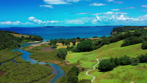 Stream-Between-The-Valleys-In-Te-Muri-Regional-Park,-New-Zealand
