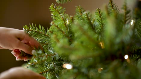 Hand-Fluffing-a-Christmas-Tree-Preparing-for-Holiday-Season,-Closeup