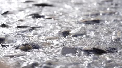 Slow-motion-water-running-over-rocks-and-pebbles-in-a-stream