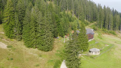 Charming-chalet-surrounded-by-green-Alpine-forest,-Alps,-Sostanj,-Slovenia