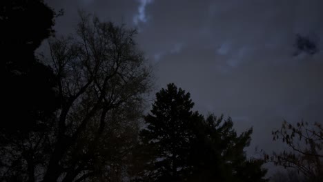 Un-Lapso-Nocturno-De-Nubes,-Iluminado-Por-La-Luna,-Corriendo-Sobre-árboles-Desnudos-Y-Pinos-Durante-El-Invierno
