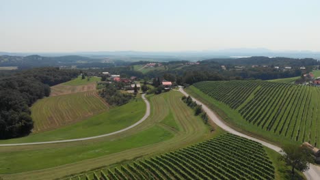 Narrow-roads-crossing-cultivated-vineyards-and-fields-in-rural-landscape,-Slovenia