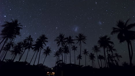 Sternzeitraffer-Der-Südlichen-Hemisphäre-Mit-Palmensilhouette