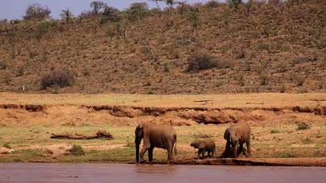 Vista-Estática-De-La-Familia-De-Elefantes-Con-Elefante-Bebé-Bebiendo-Y-Refrescándose-En-Un-Río-Poco-Profundo-Durante-El-Caluroso-Día-De-Verano-En-Kenia,-África