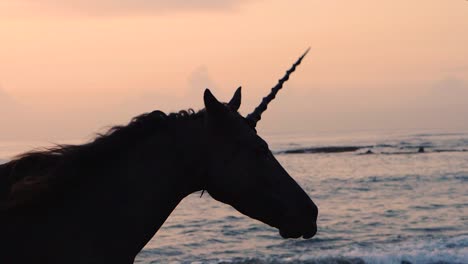 Silhouette-of-mythical-creature-with-spiraling-horn-galloping-on-beach,-slowmo