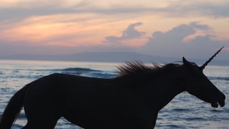 Unicorn-gallops-on-beach-during-dawn,-silhouette-of-mythical-beast,-slowmo