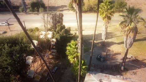 Aerial-through-palm-trees-towards-an-abandoned-ferris-wheel