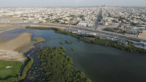Top-view-of-Ajman-City-and-Ajman-Mangroves-Kayak,-the-thick-natural-mangroves-of-Ajman-is-home-to-over-102-species-of-native-and-migratory-birds-in-the-United-Arab-Emirates,-4k-Footage