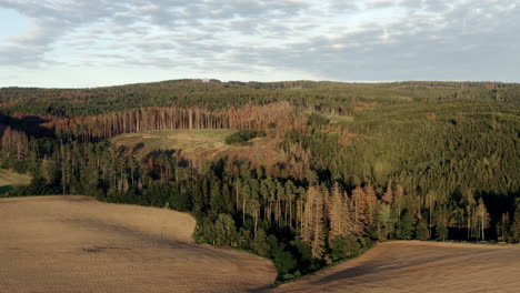 Aerial-Shot-Of-Beautiful-Forest-Surrounding-Agricultural-Farm-Land-In-Fall-At-Sunset-In-Czech-Republic