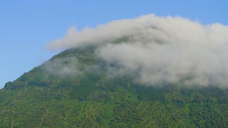 Una-Montaña-De-Bosque-De-Café-Cubierta-De-Niebla-En-Santa-Ana,-El-Salvador-Durante-Una-Mañana-Ventosa
