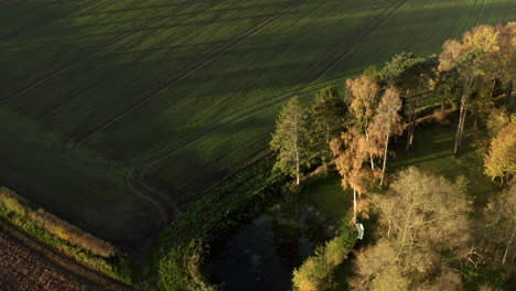 Revealing-drone-shot-of-a-pond-in-the-rural-countryside-of-England-in-the-morning-light-at-sunrise