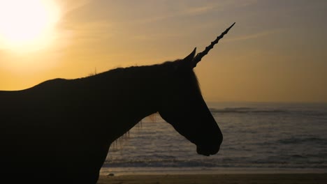 Silhouette-of-mythical-unicorn-horse-on-beach-during-sunrise,-slow-motion